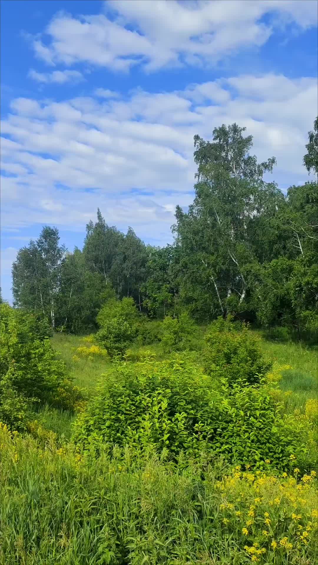 @Энджэ