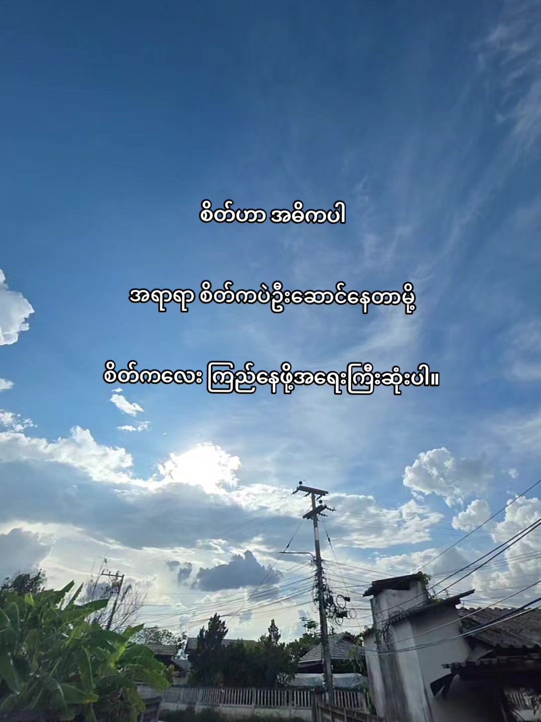 @🍃 𝙽𝚄𝙼 🐒