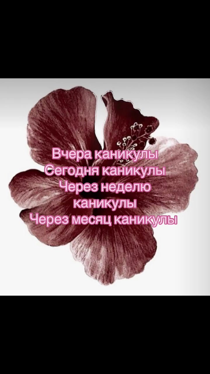 @𝒊𝒗𝒂𝒏𝒏𝒂