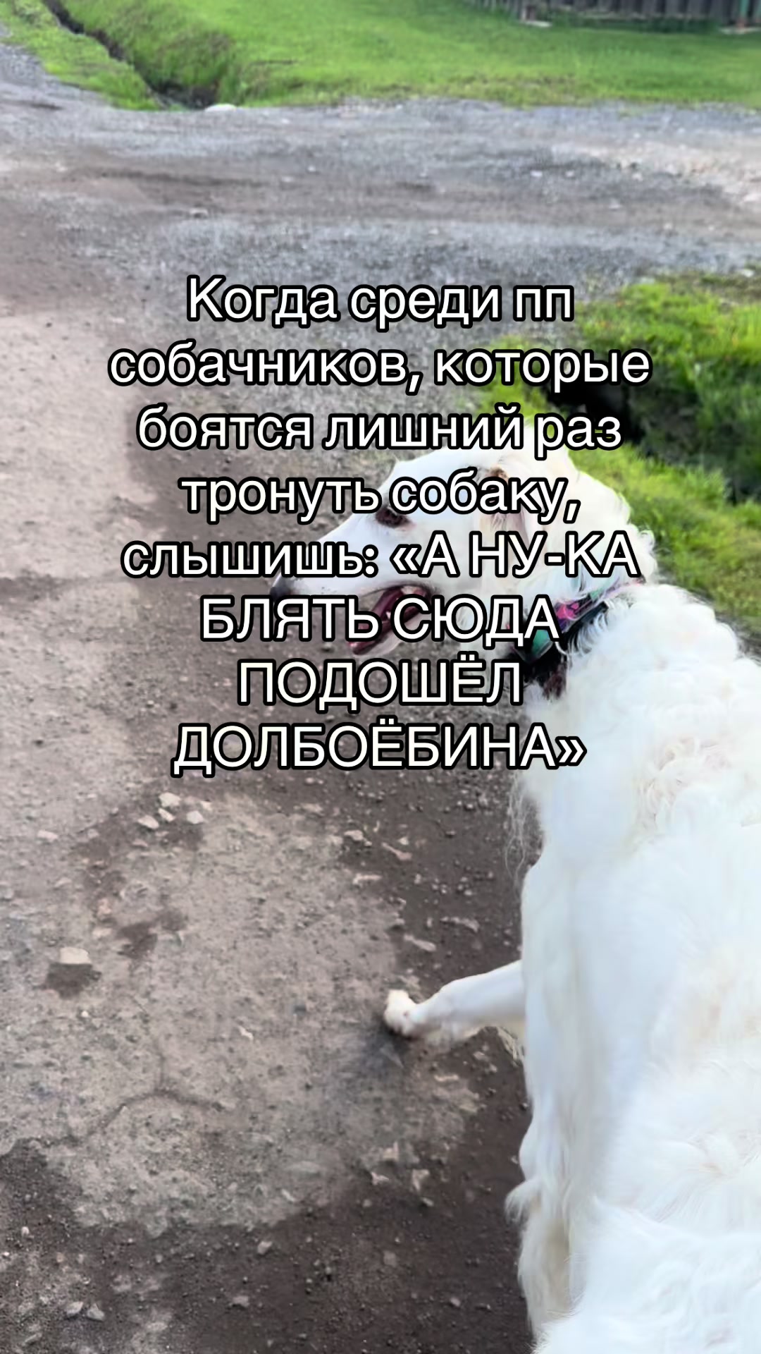 @Кареглазый блондин👁️