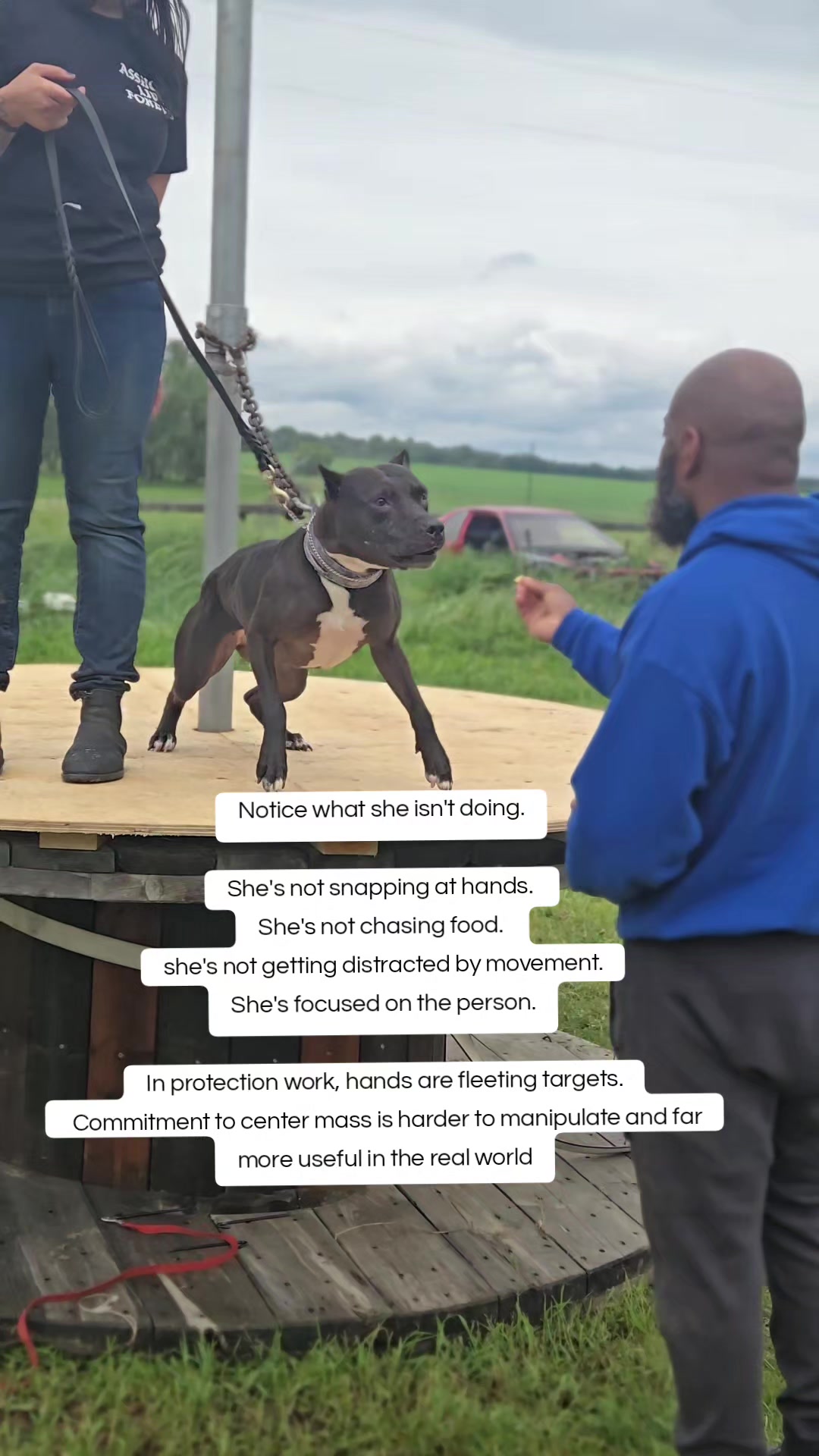 @Steph-RaisingHell.Hounds🇨🇦