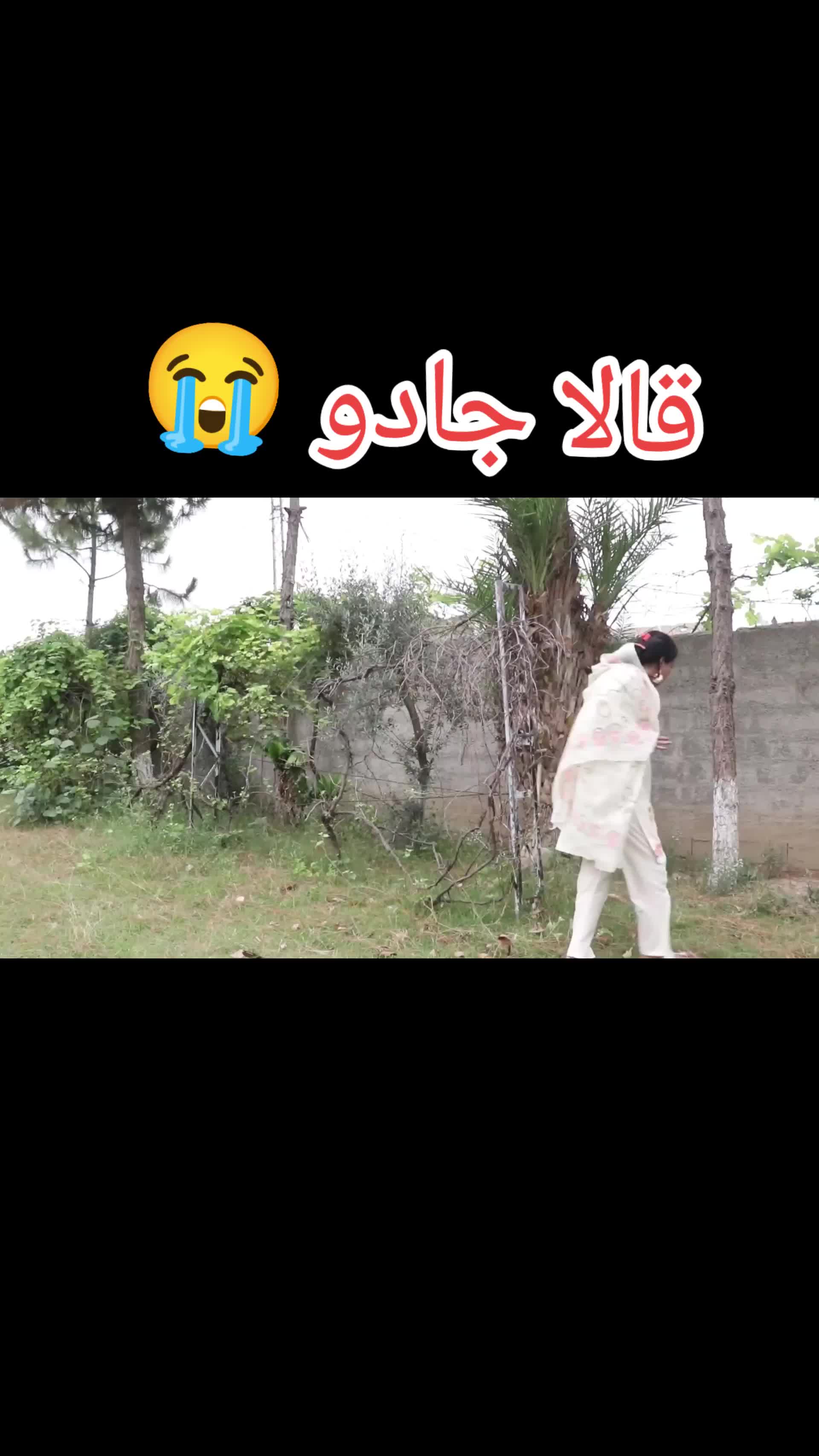 @zafariqbalsawabiwal