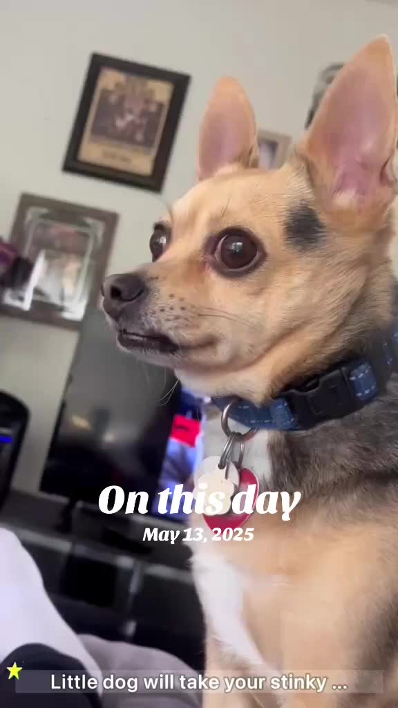 @Whiskeyandtennessee