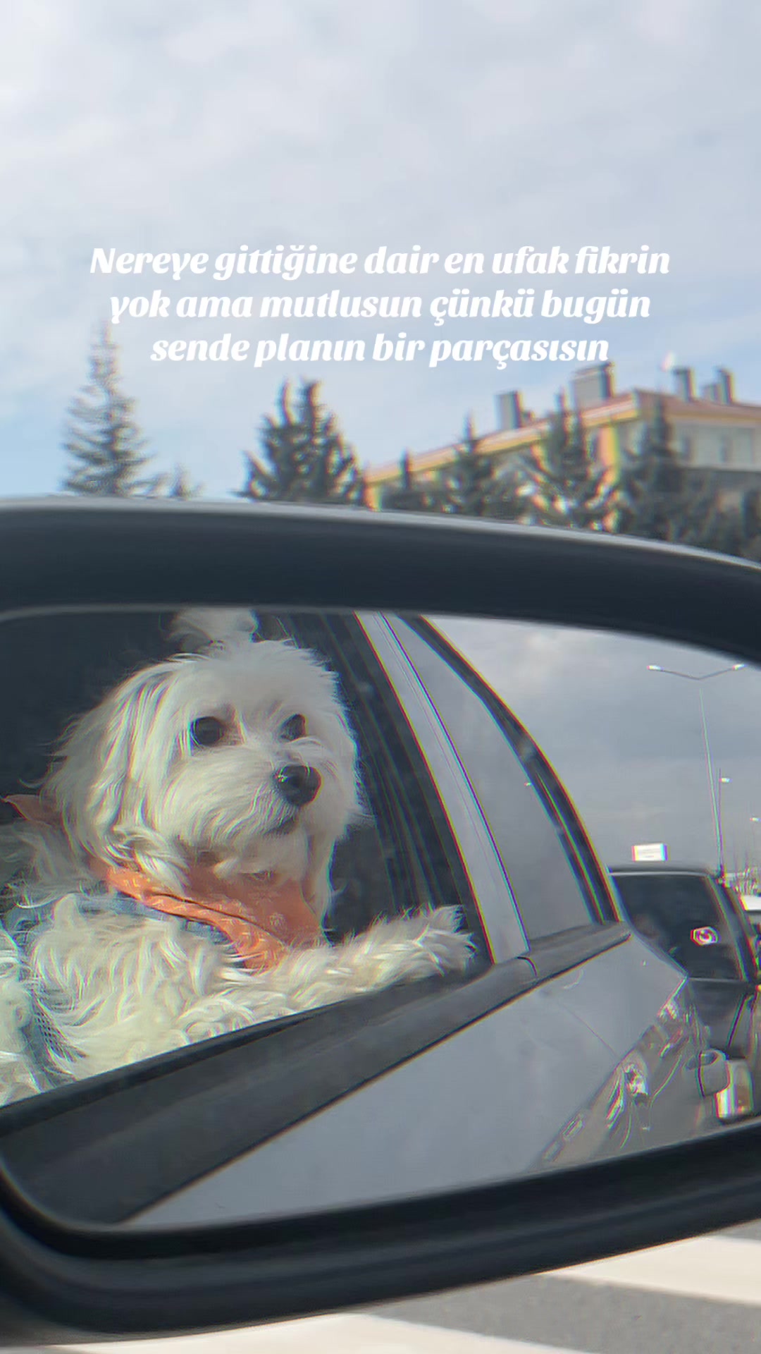 @theozlmm