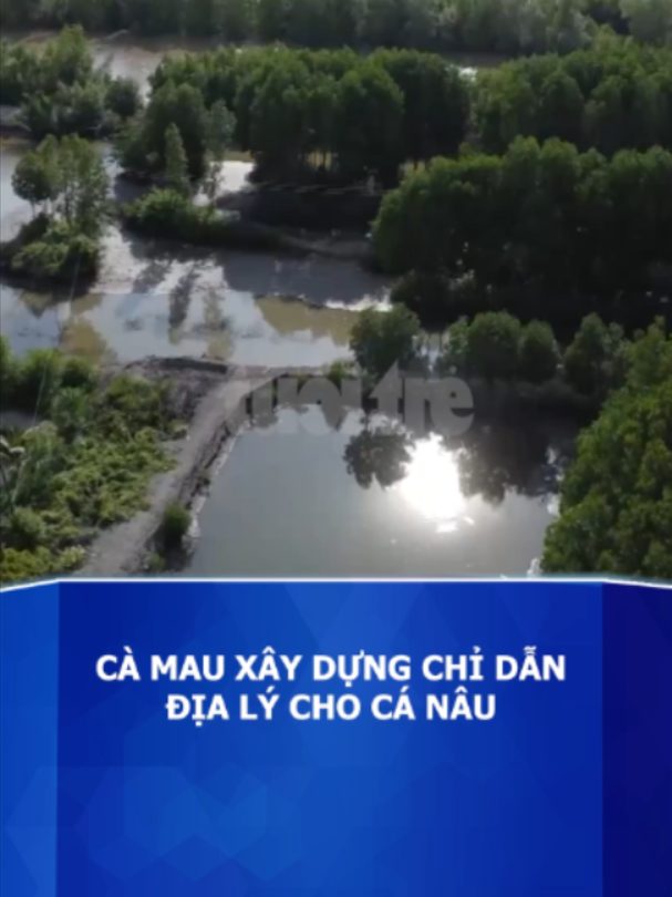 @Báo Tuổi Trẻ