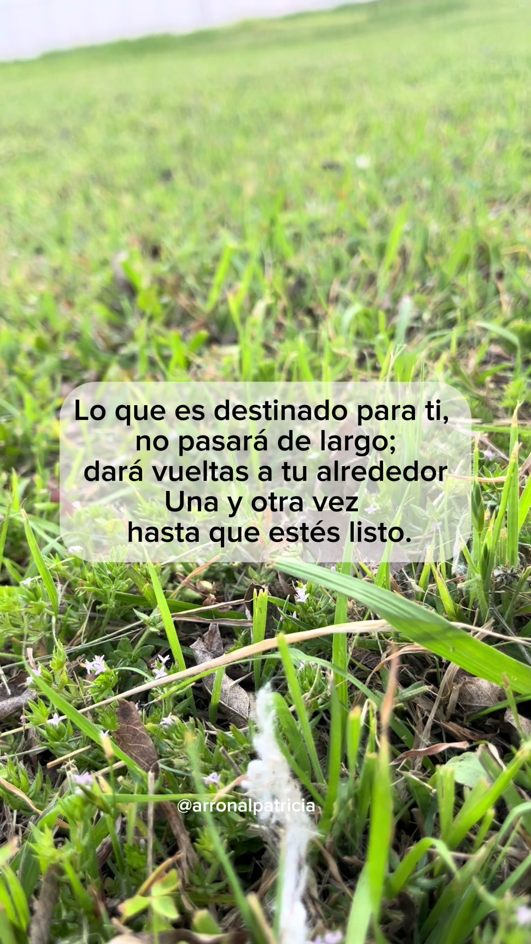 @Patricia Arronal