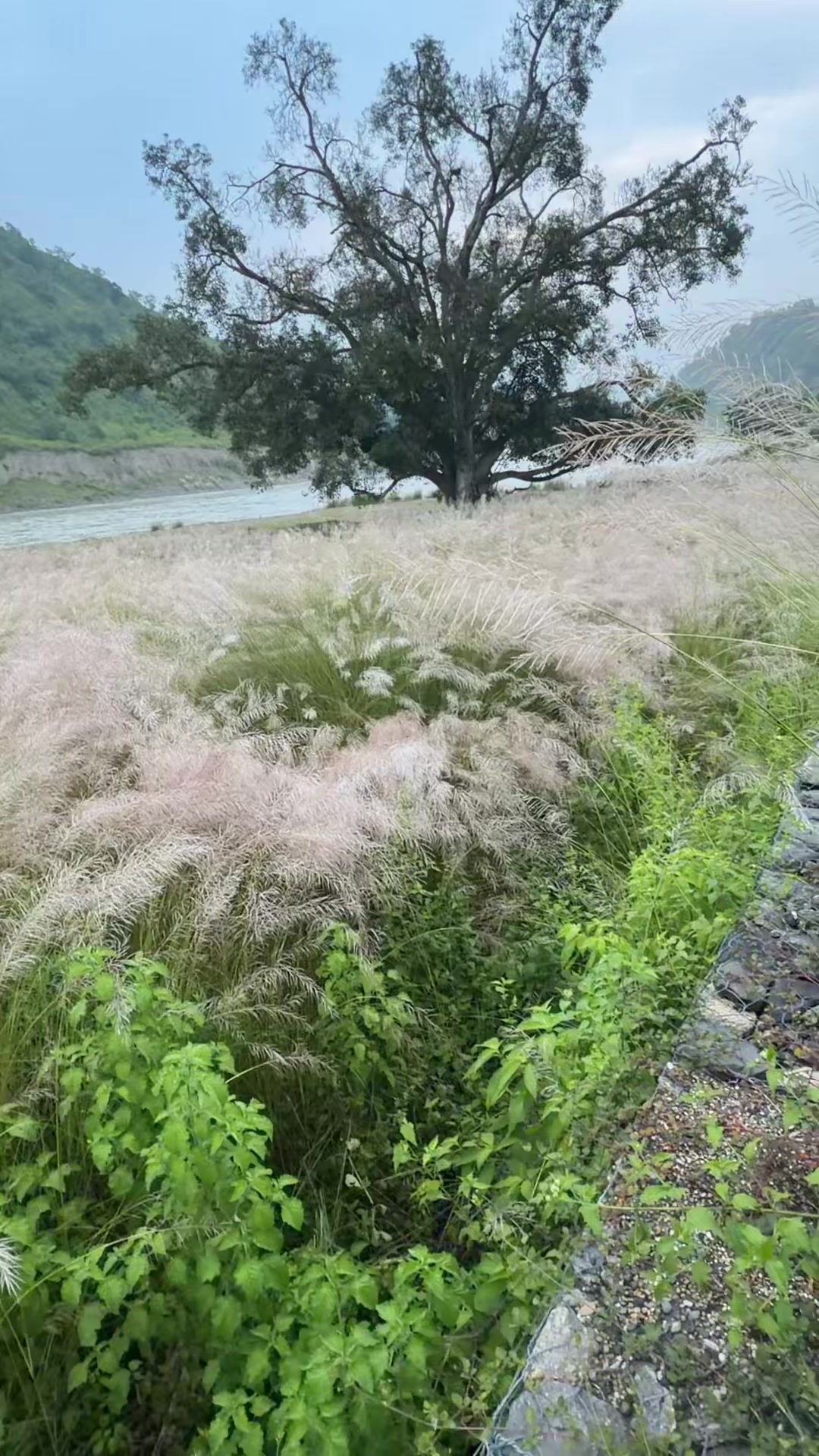 @Koirala Suman🇳🇵