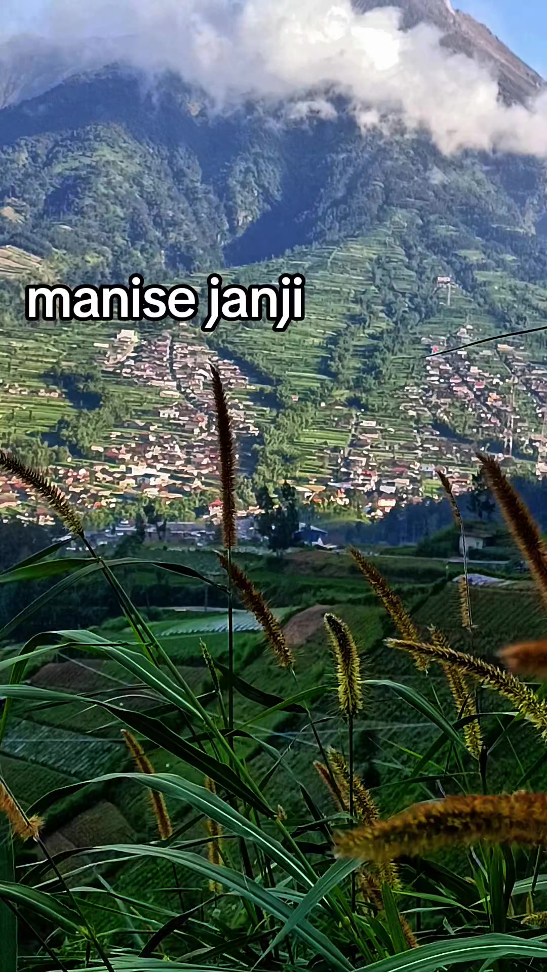 @LANA GIRI