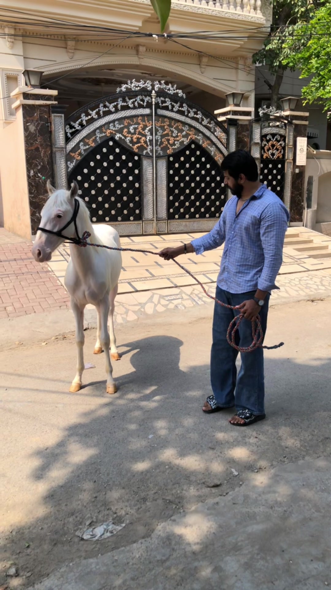 @Omer Qureshi