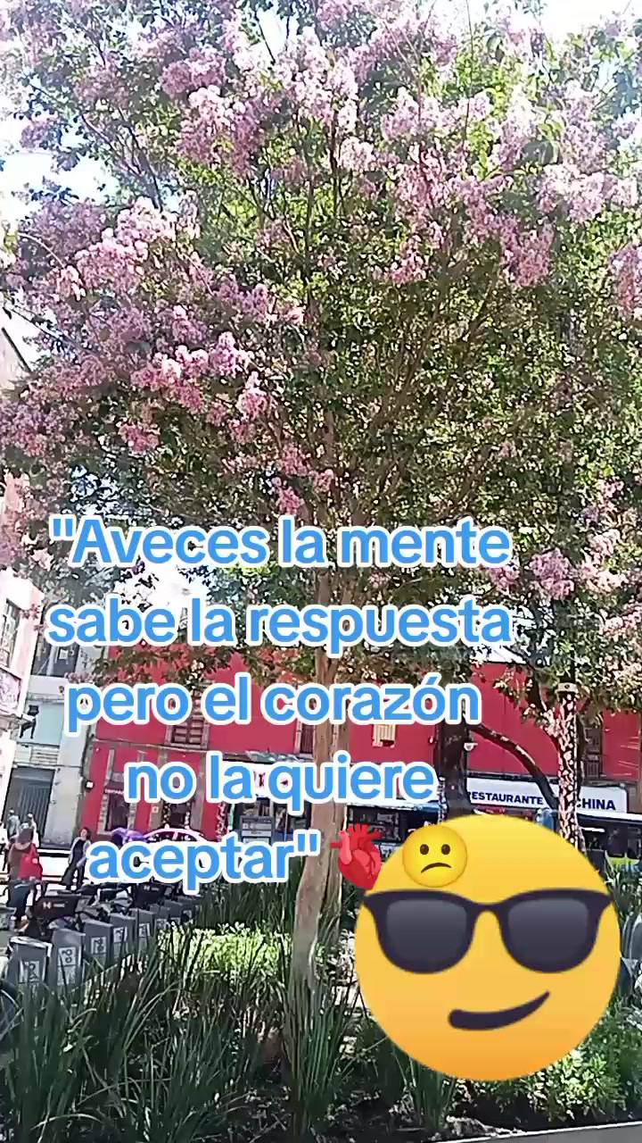 @elda Chipol