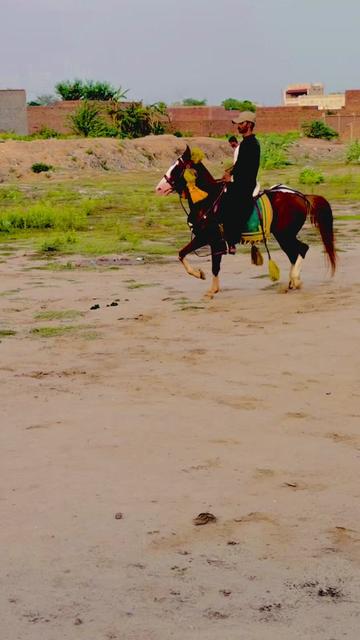@Rai Usman