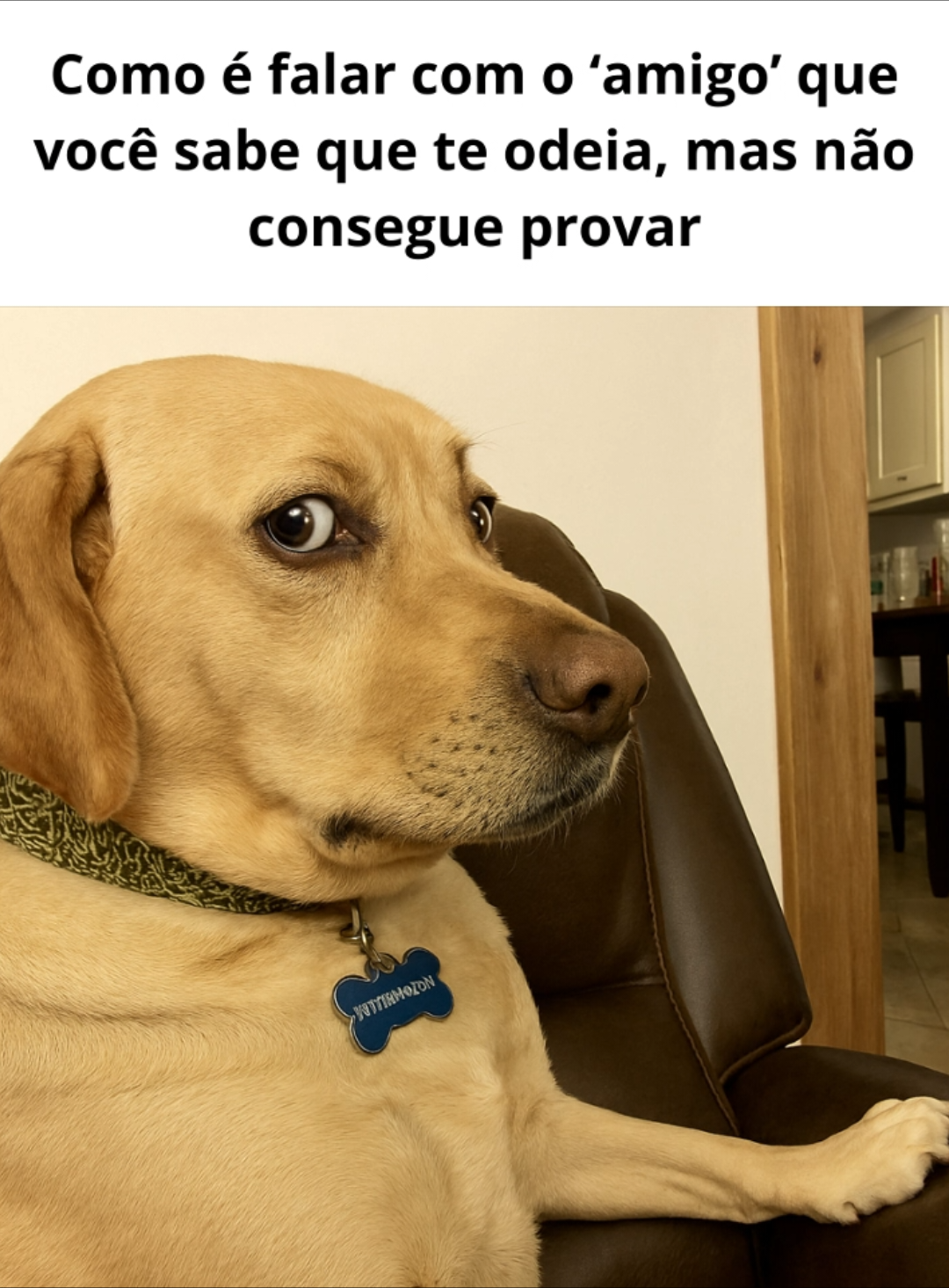 @o mago