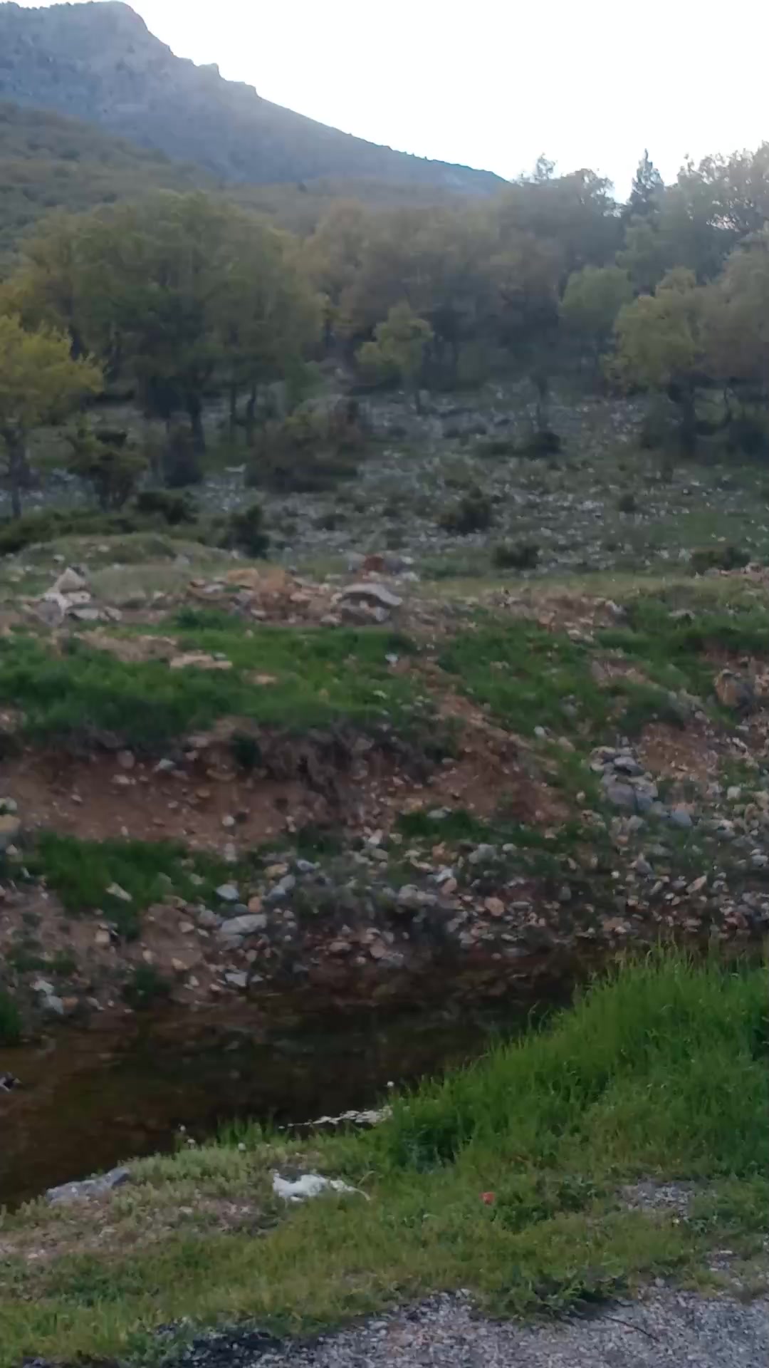 @Hasan Hüseyin Navruz