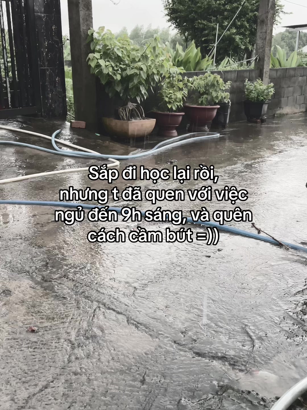 @Tiến Đức