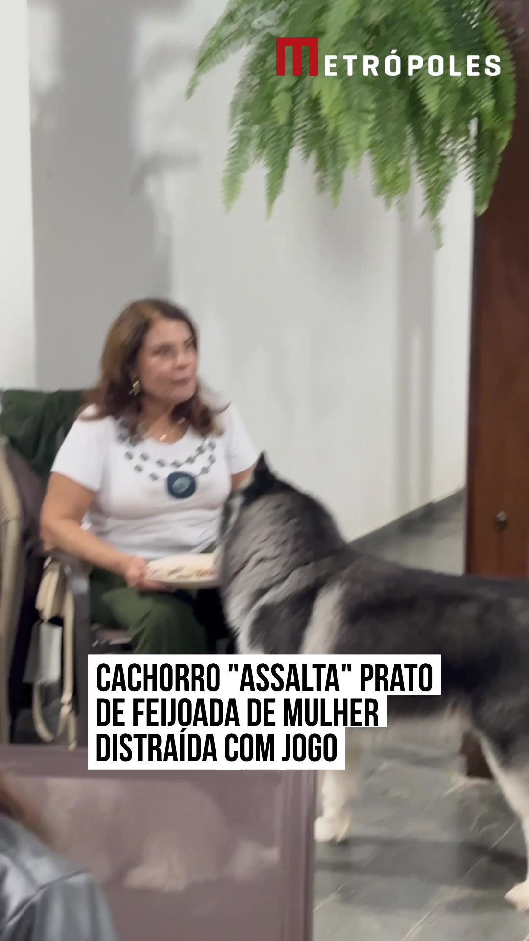 @Metr&oacute;poles Oficial