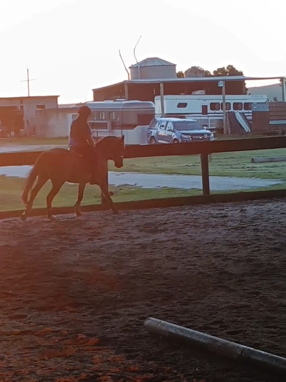 @Pip_equestruan9