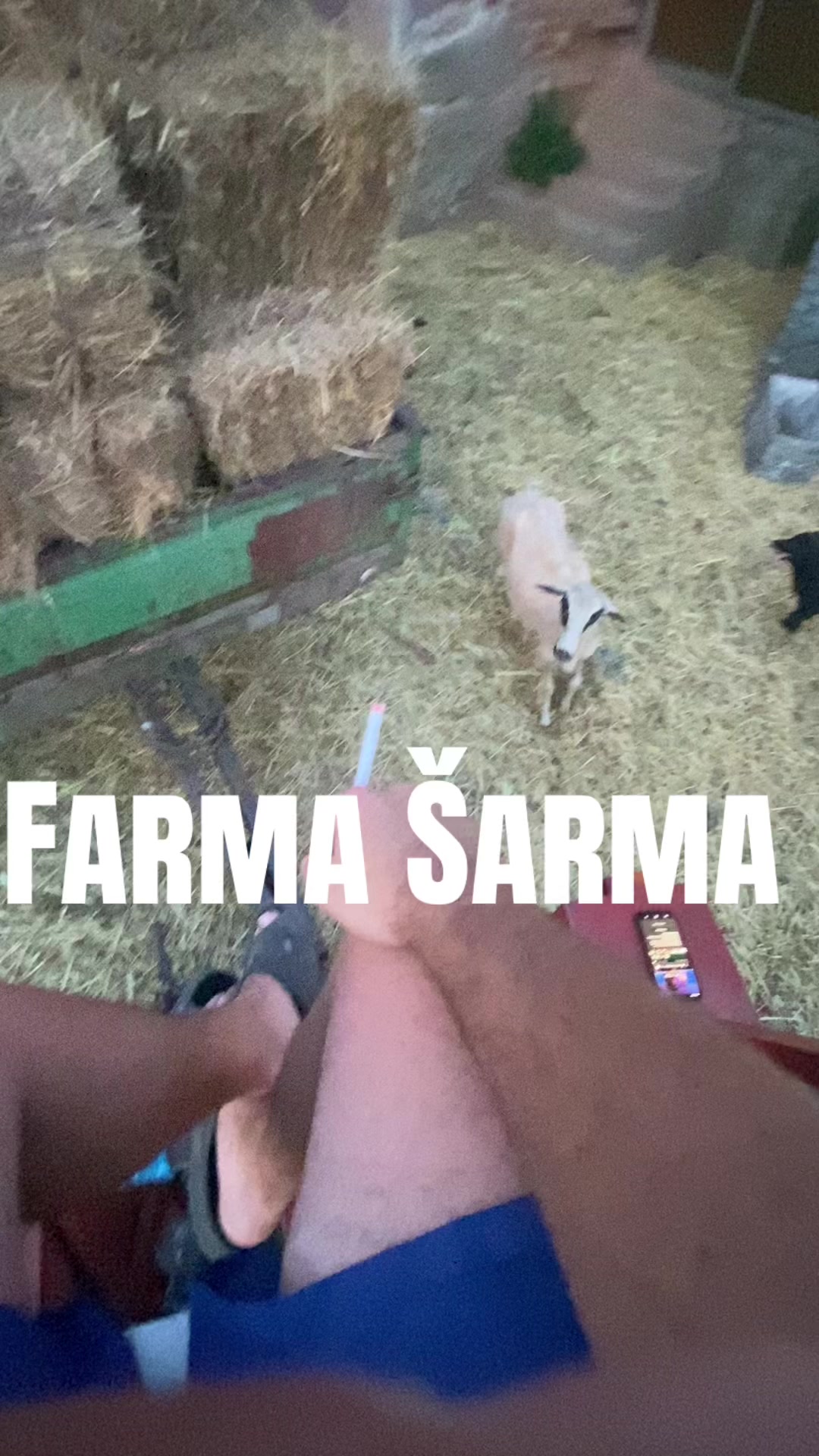 @canee