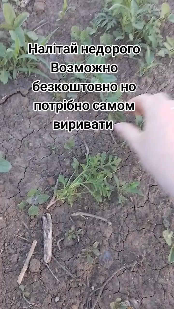 @Анюта