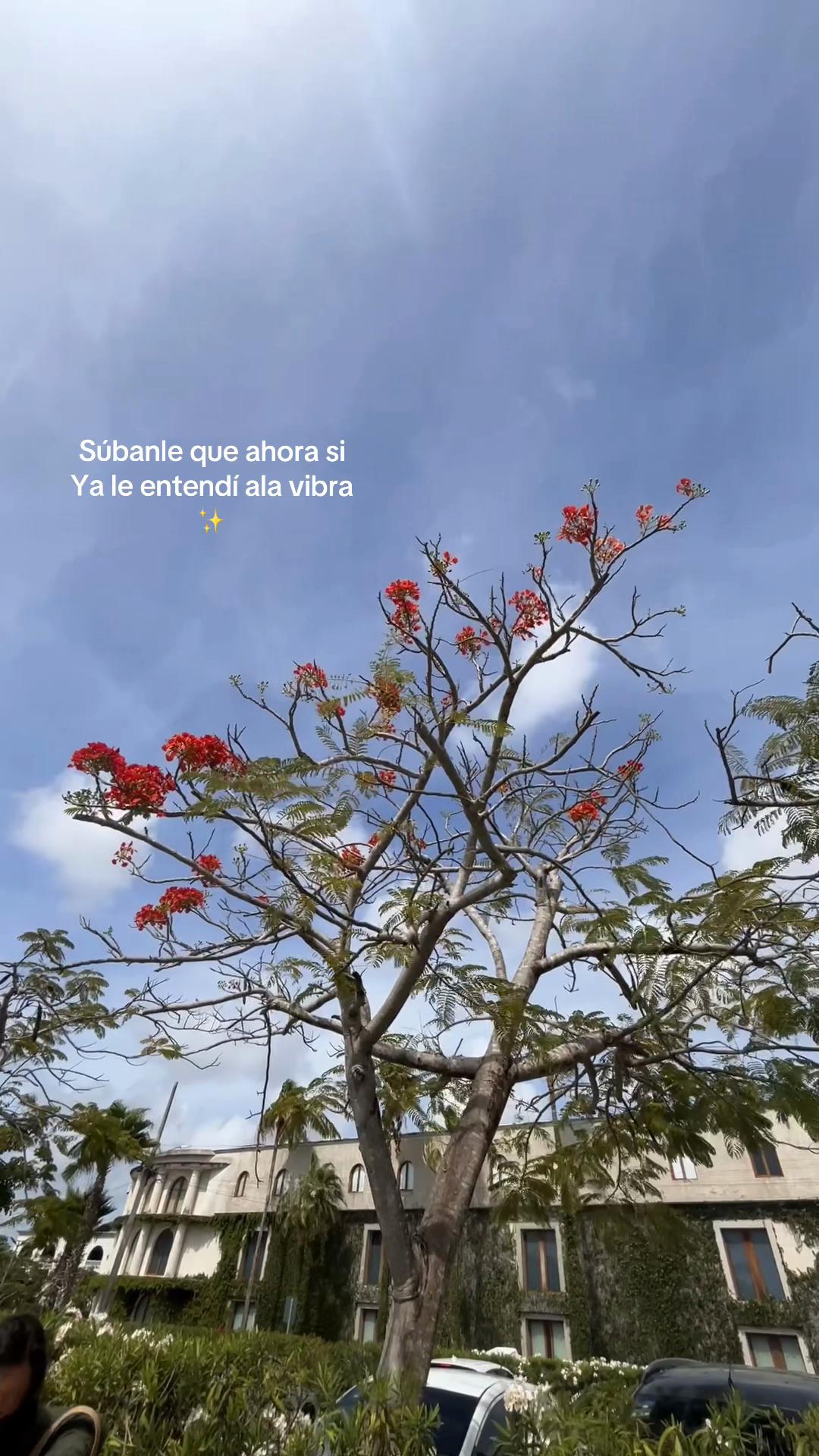 @luz albino 🌸💙