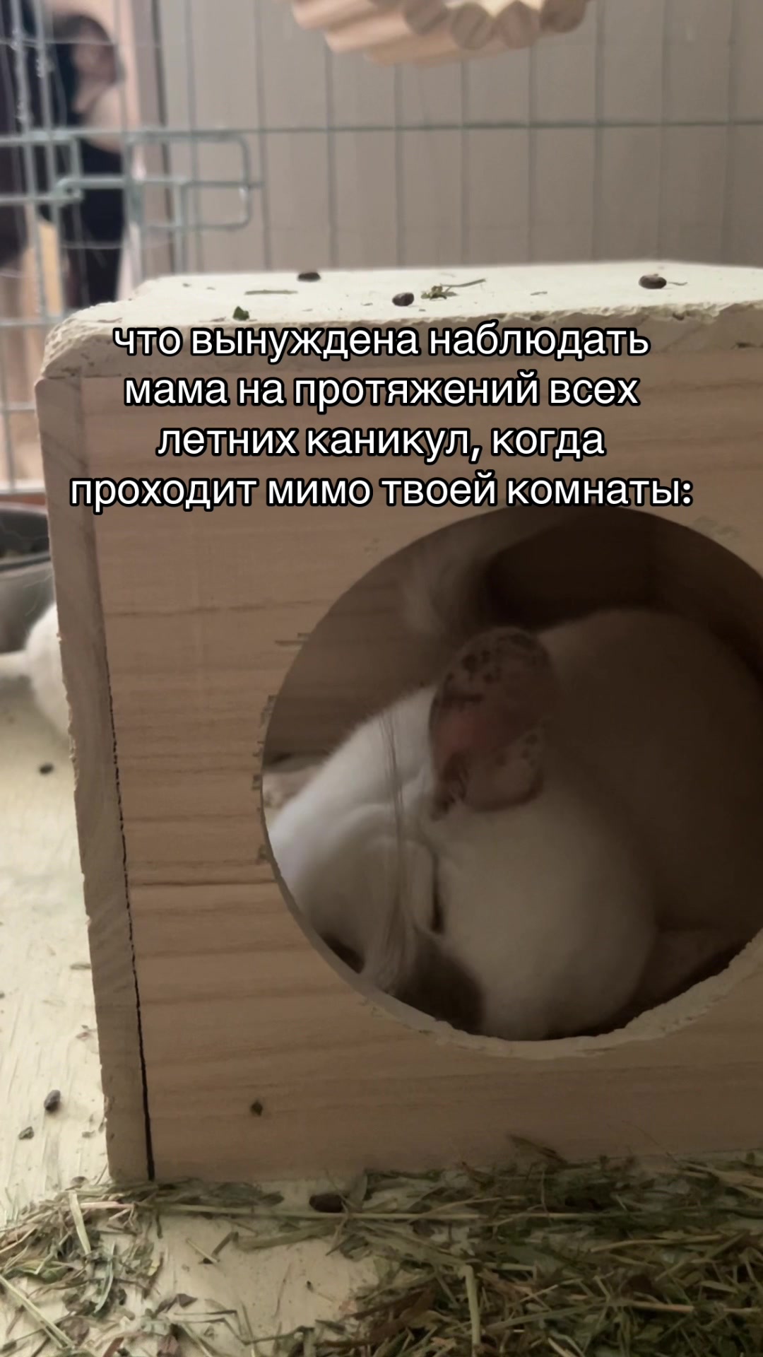 @Лулу