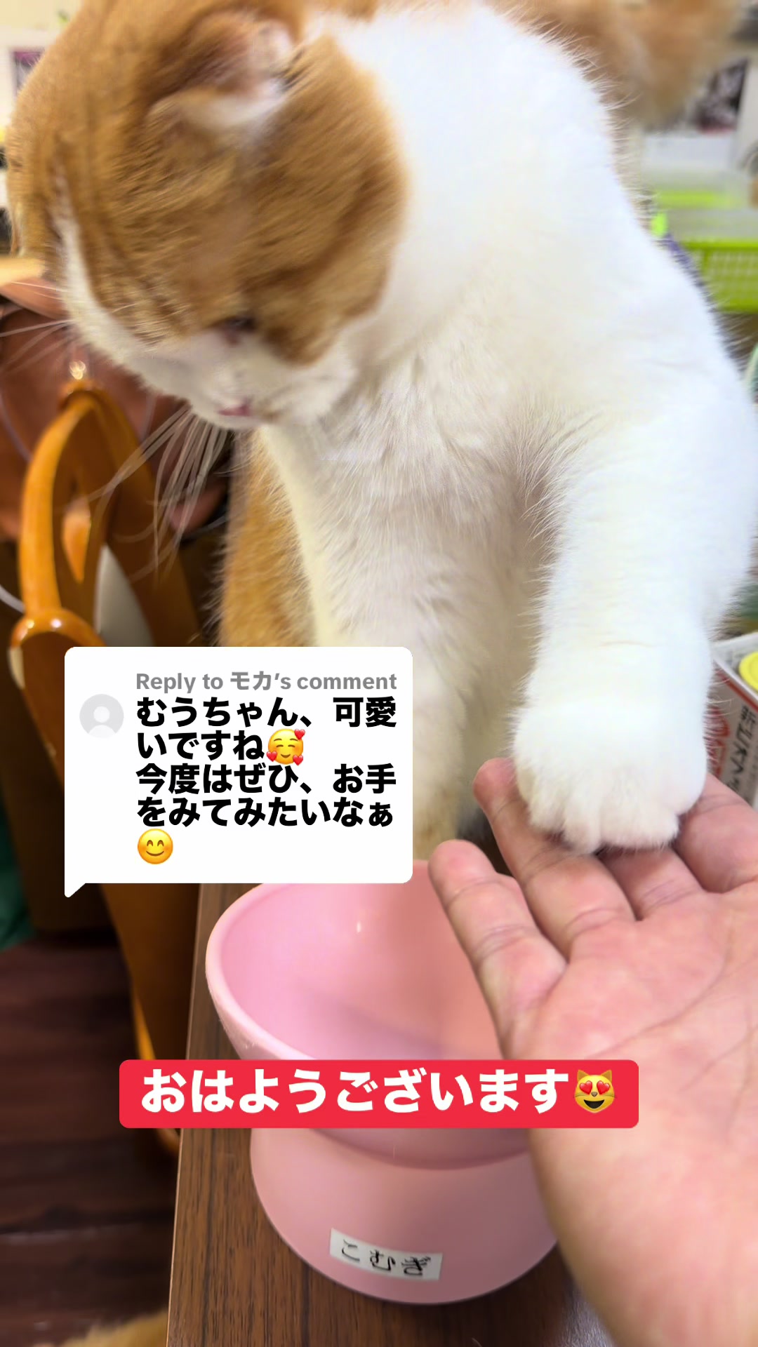 @🌺KEI🌺 RPH2️⃣0️⃣ 5spicejp