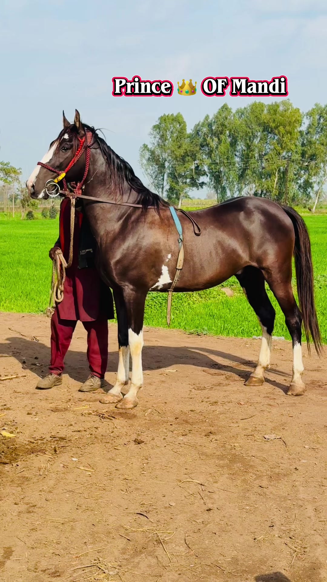@chalirazagujjar005