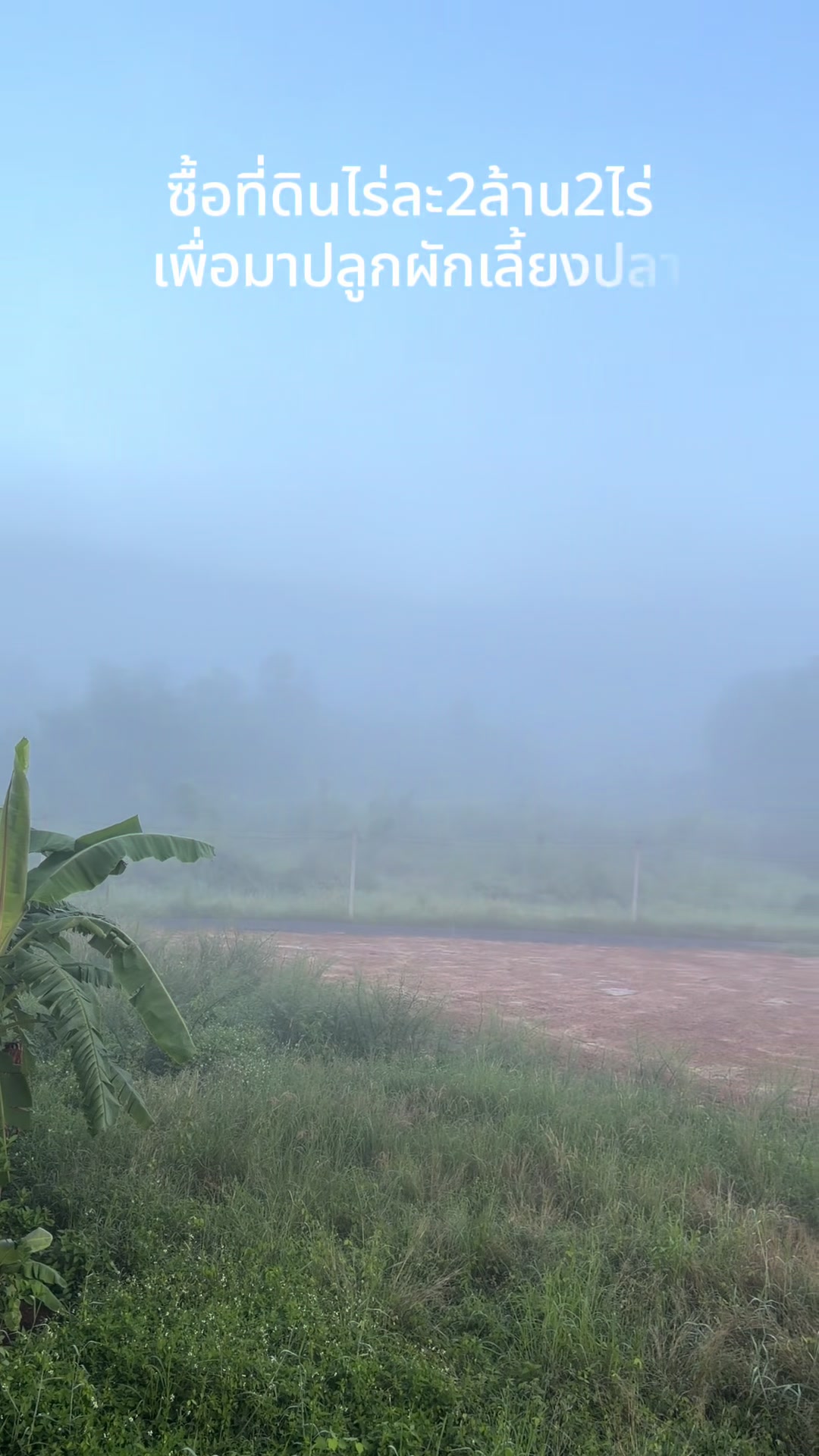 @นัดดาชอป