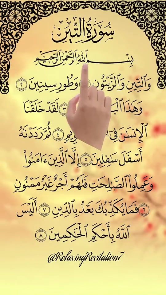 @Ibrahim pti Official