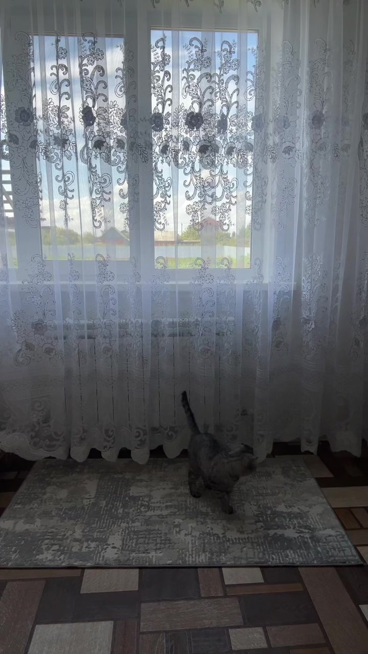 @Шнелька