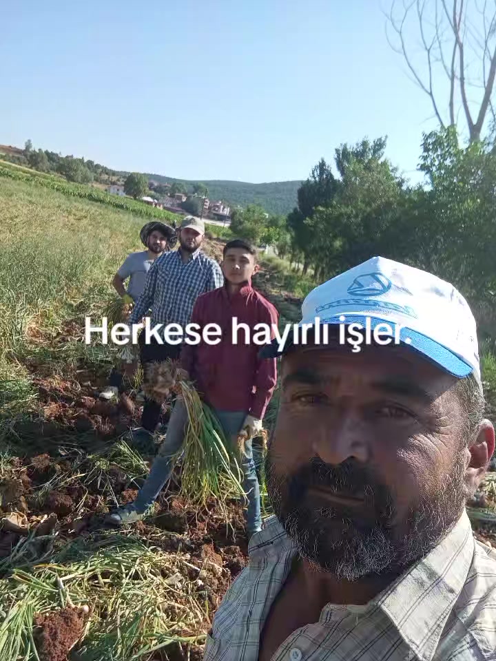 @mustafa Gül