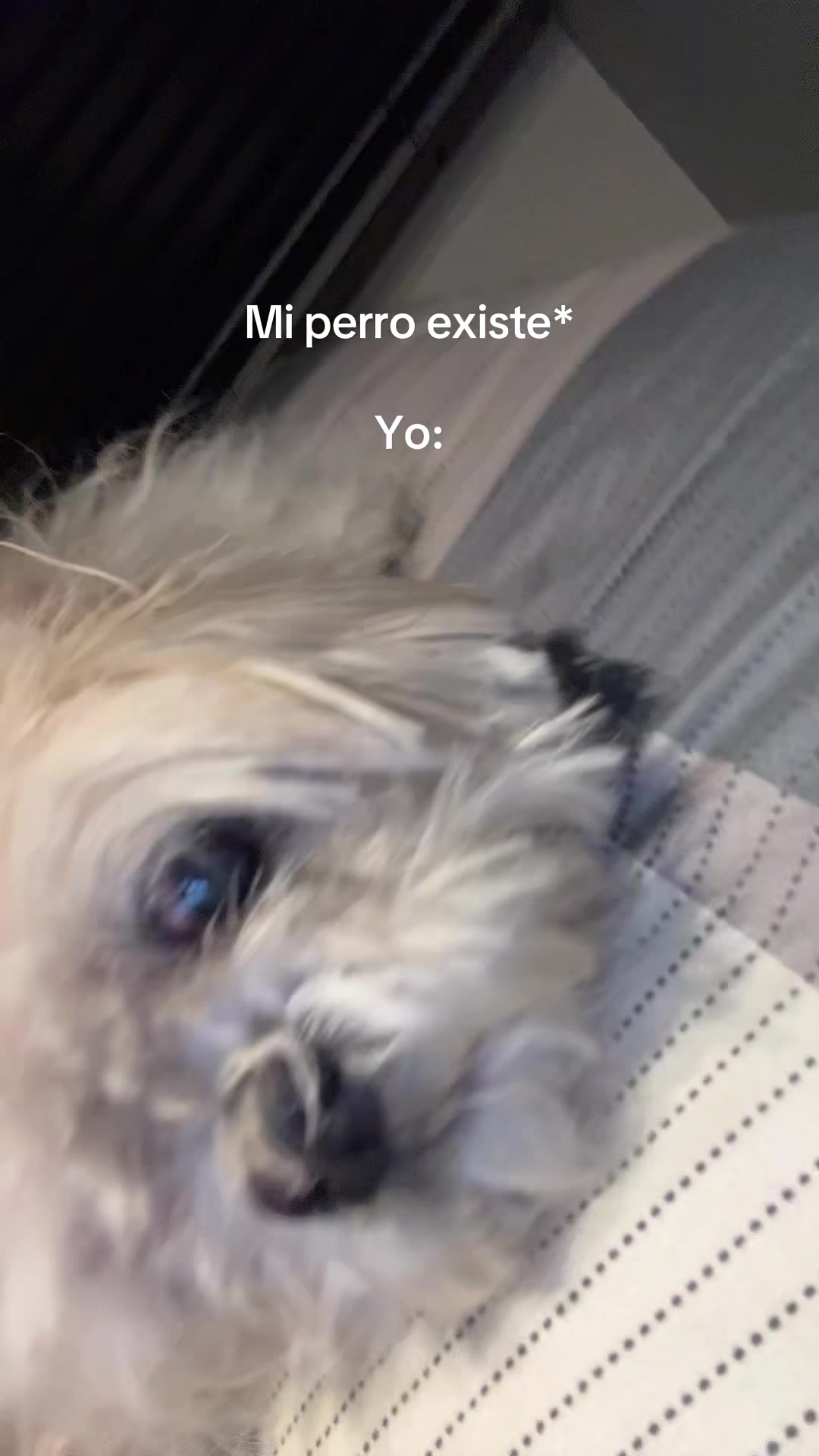 @imjuanpavv
