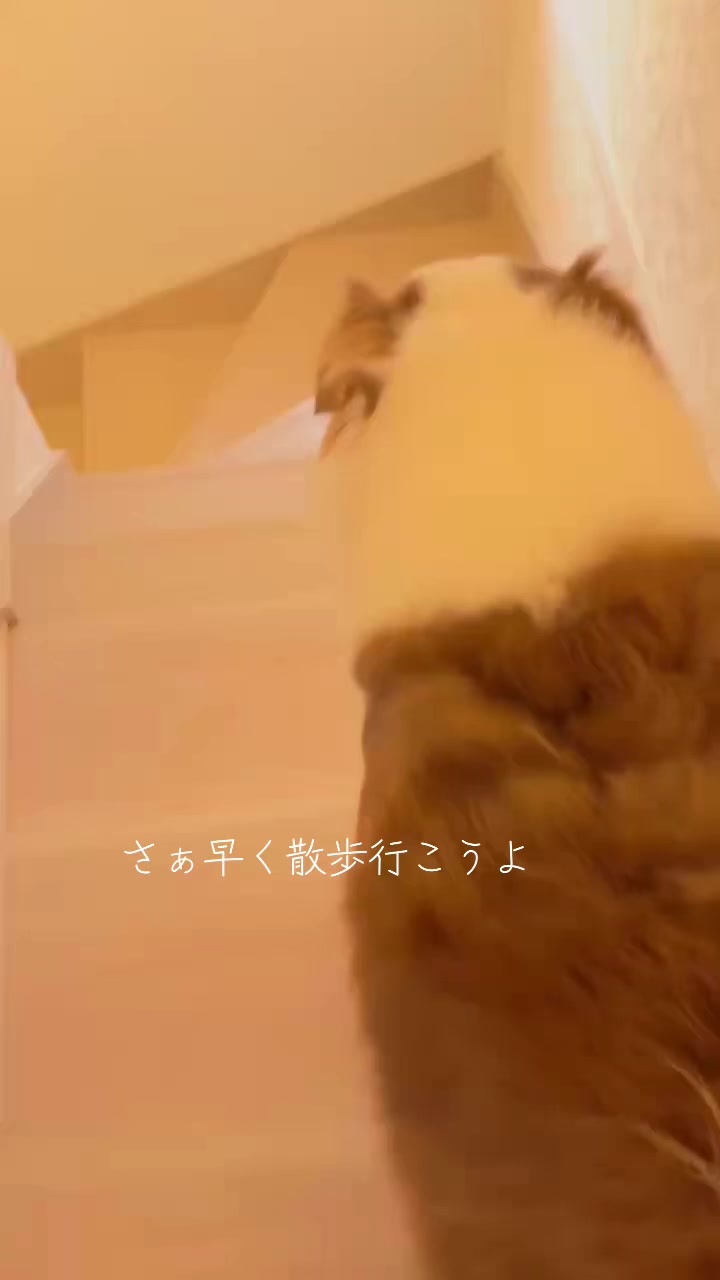 @サン&タマ