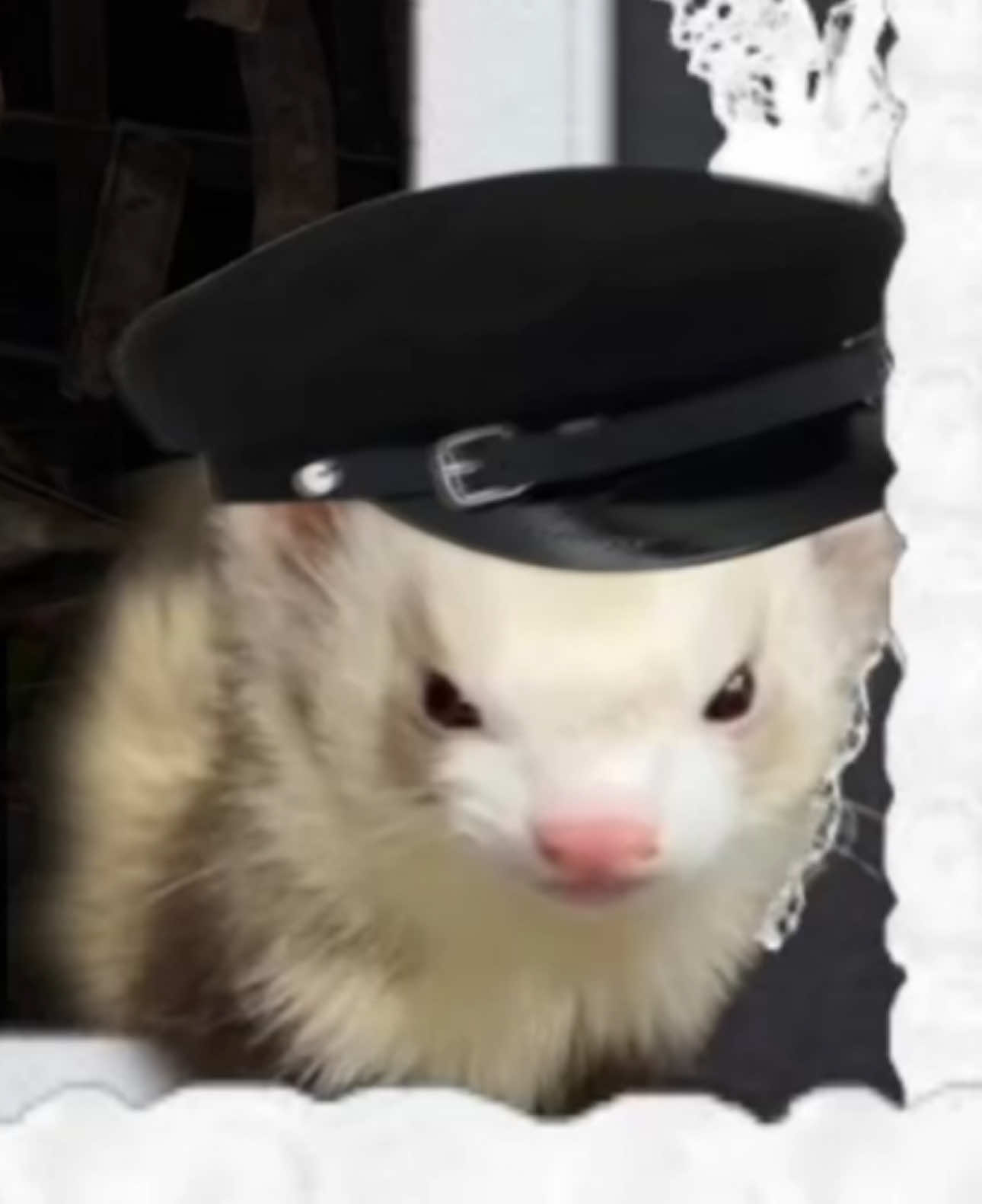 @®