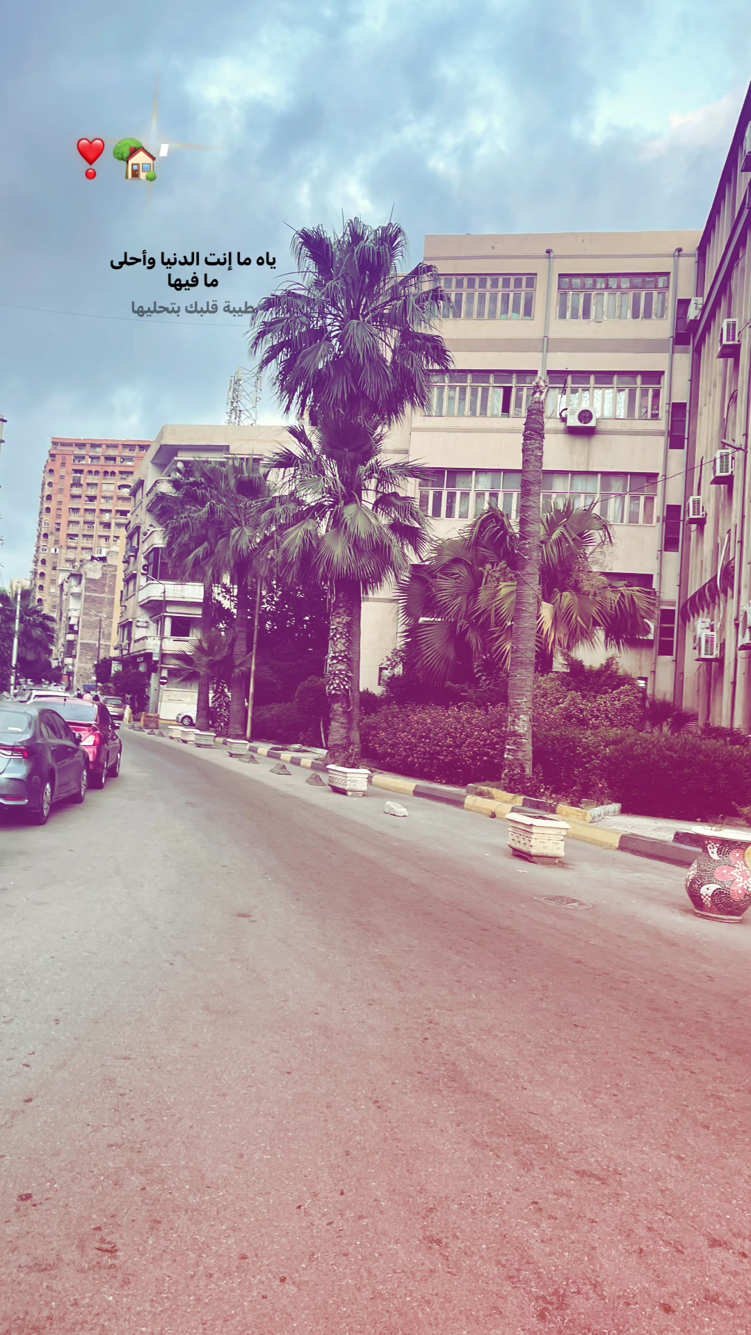 @loza_adel