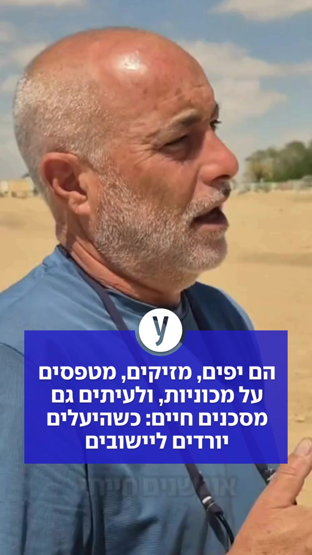 @ynet
