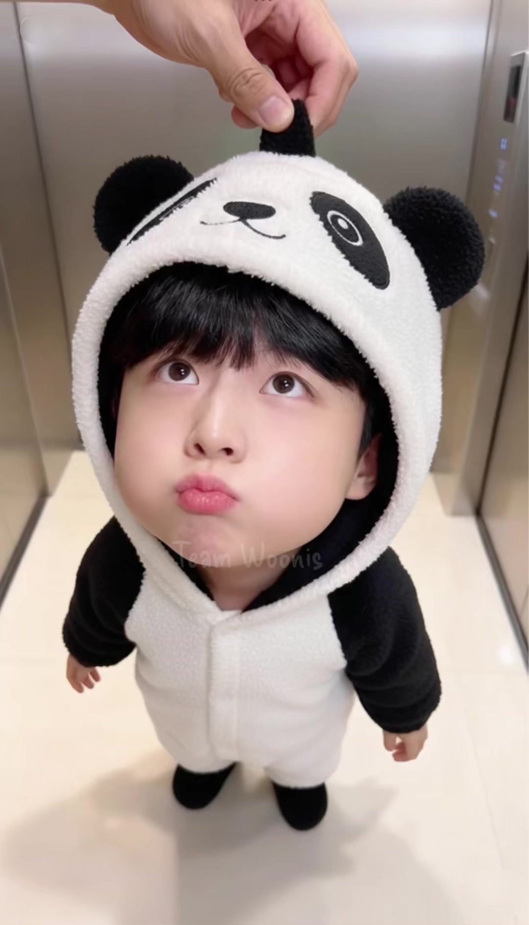 @Team Woonis 🚀🐼