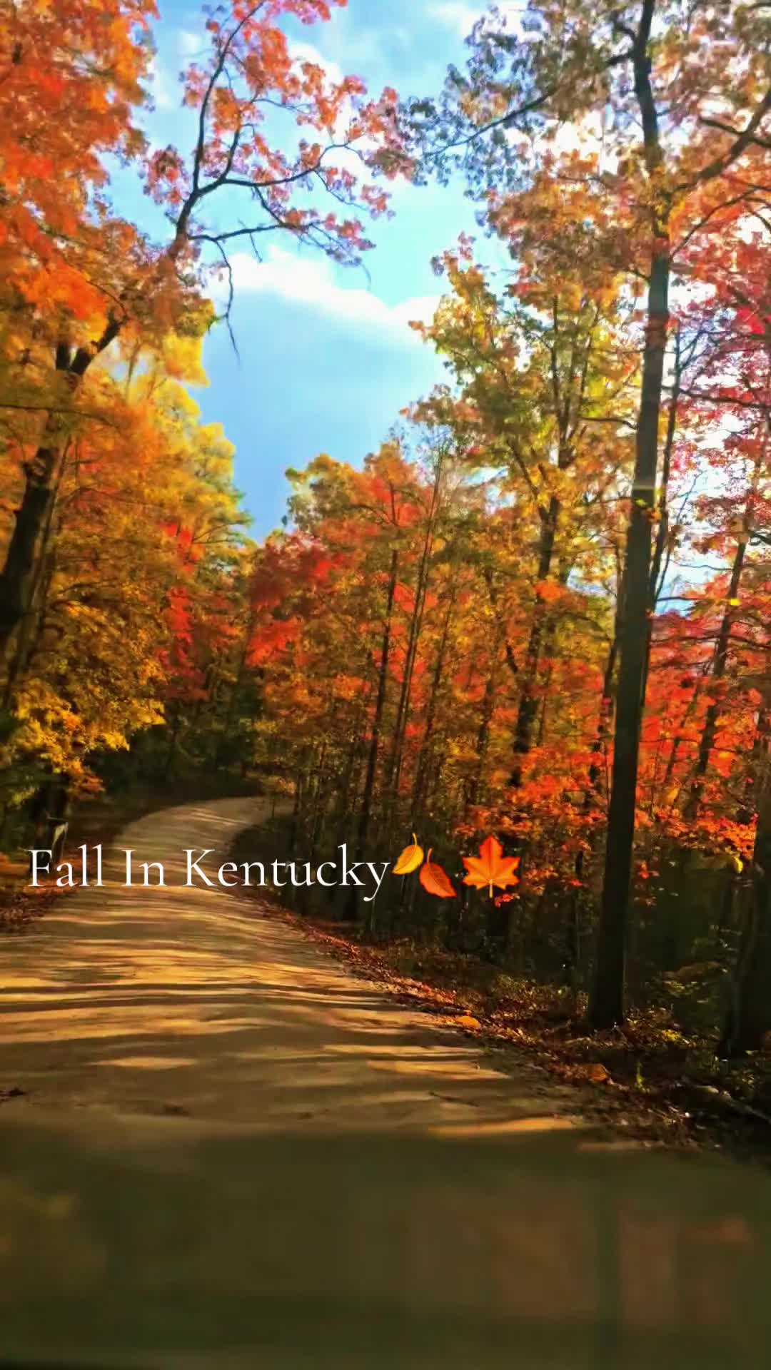 @Kentucky Simple Man