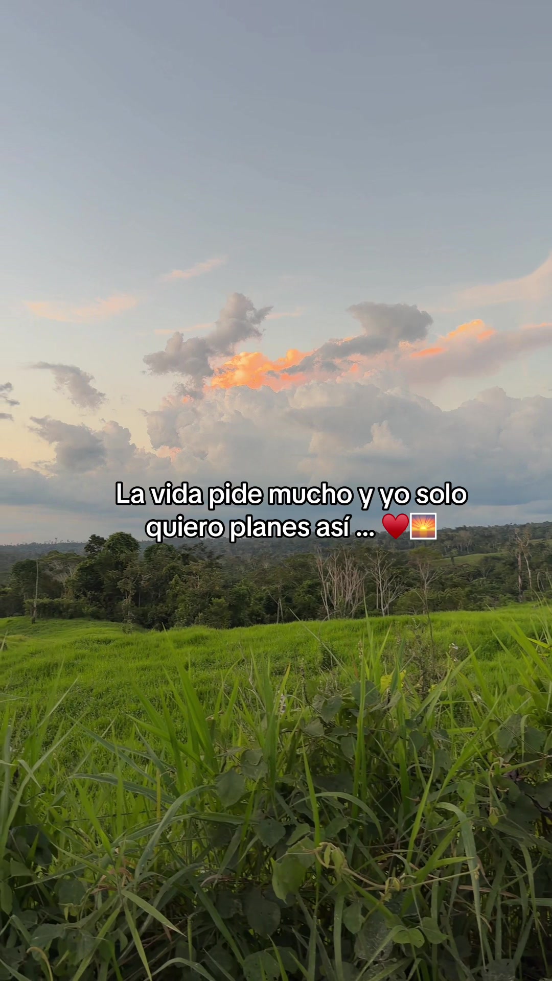@Reyna Lay