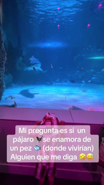 @🐬🐎🐍Rosy Romero 🪽🪽🦚🦩