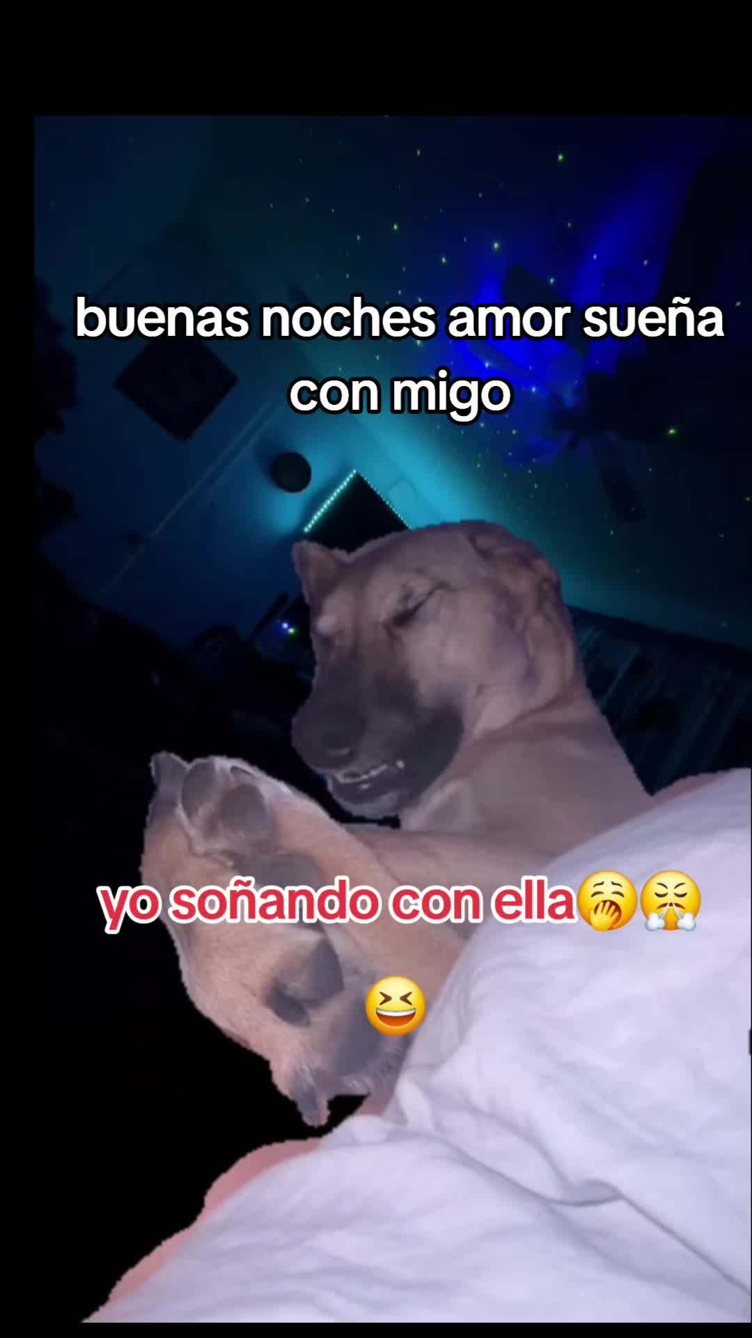 @el chico, solitario 🥺✌️