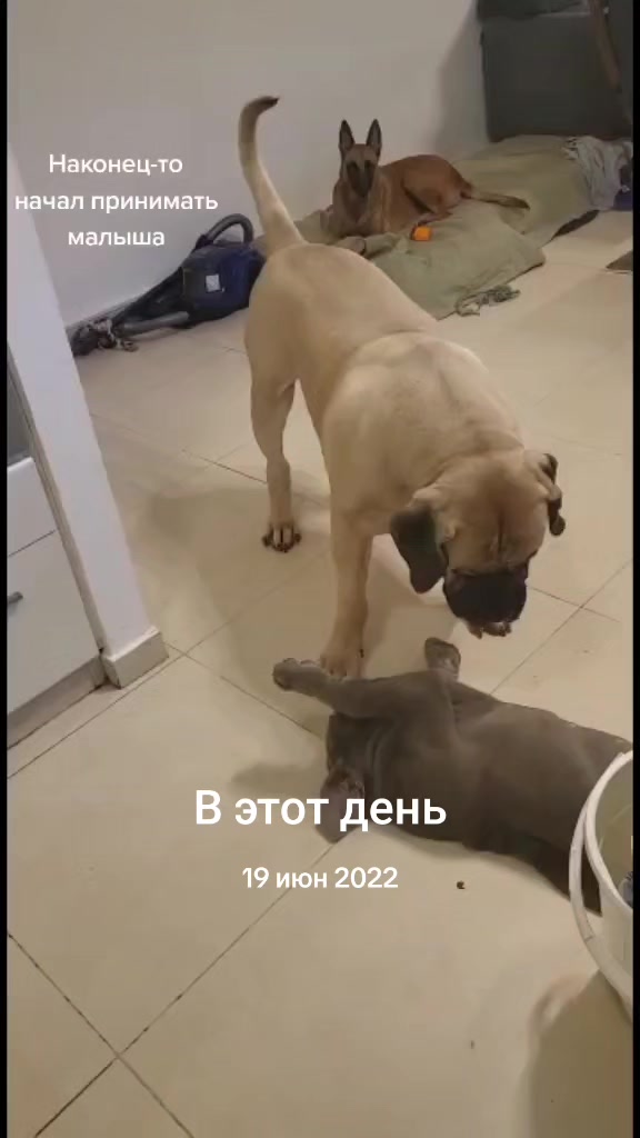 @Владимир