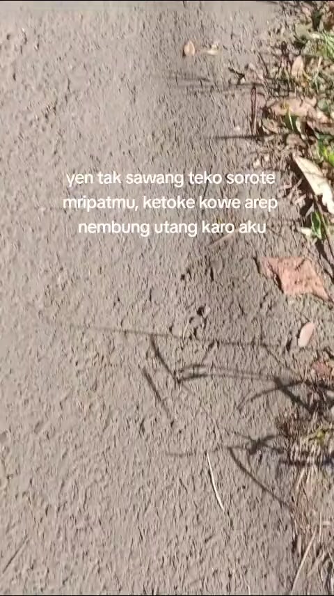 @Legenda Rasamala