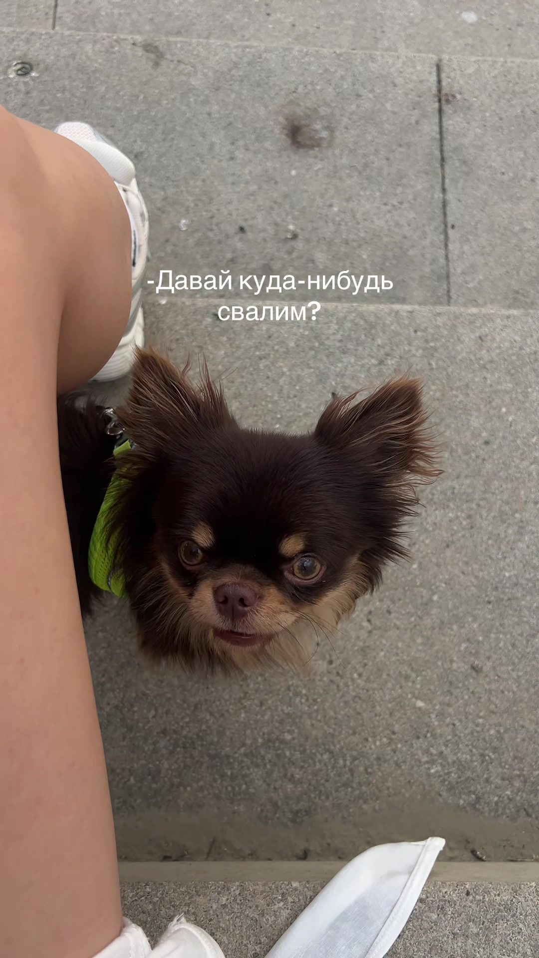 @Krika