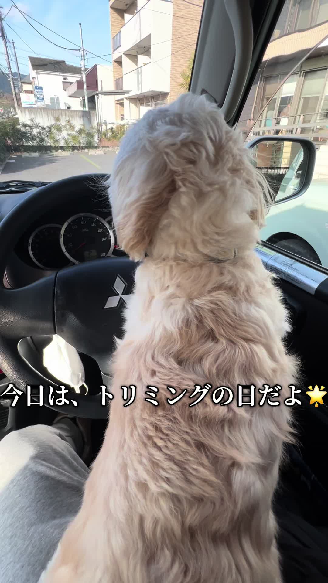 @リキ山