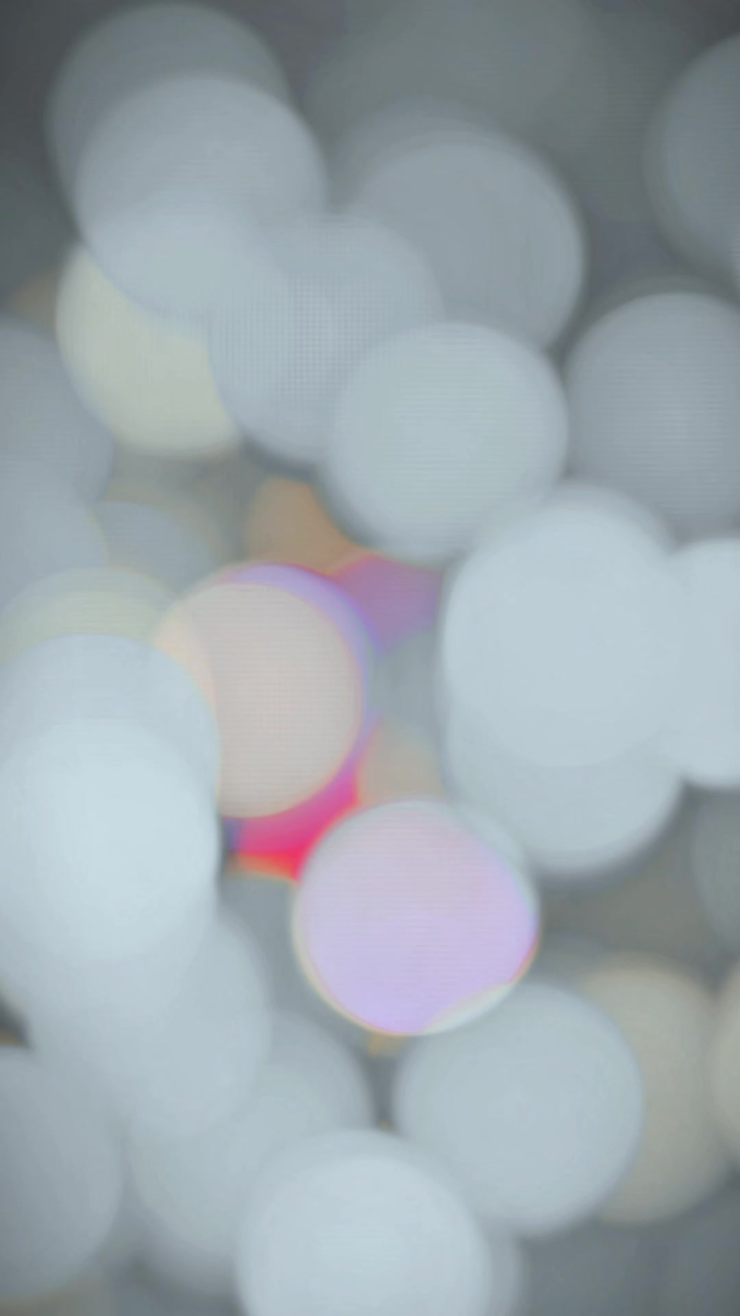 @☆𝘽𝘼𝘾𝙃𝙐⌒(M)⌒