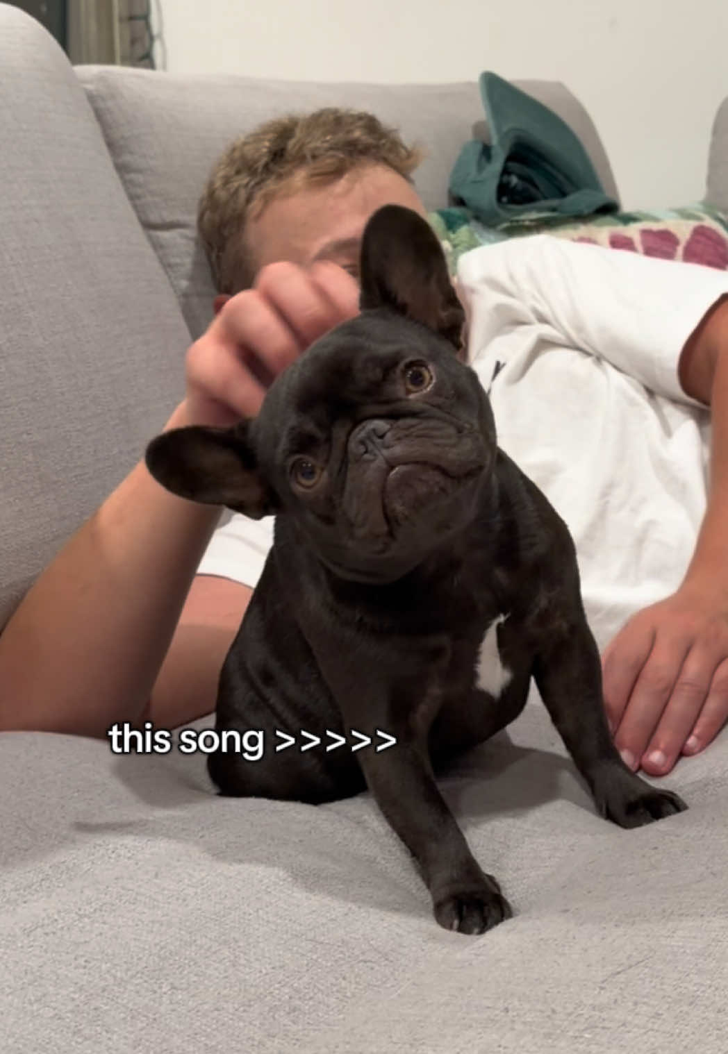 @Mabel the Frenchie