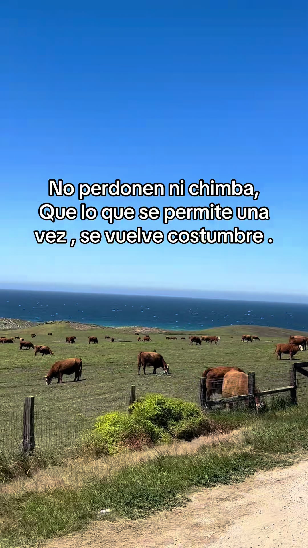 @Claudita Martinez