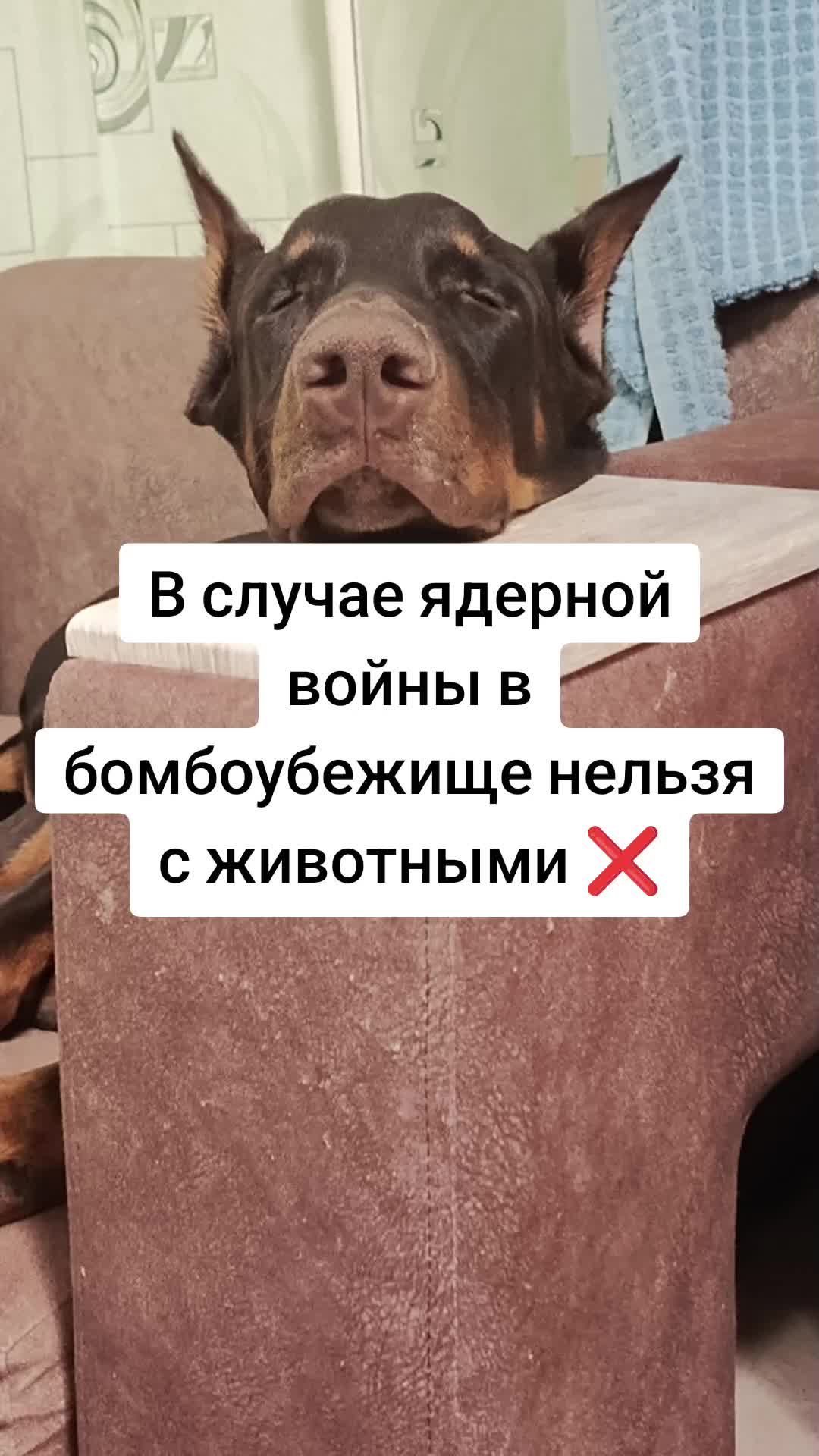 @daxa😏