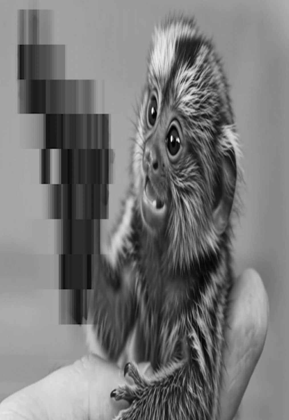 @© ²⁰²⁶ ʳᵉᵃˡᶦᵗʸ ⁱˢ ᵒᵖᵗⁱᵒⁿᵃˡ