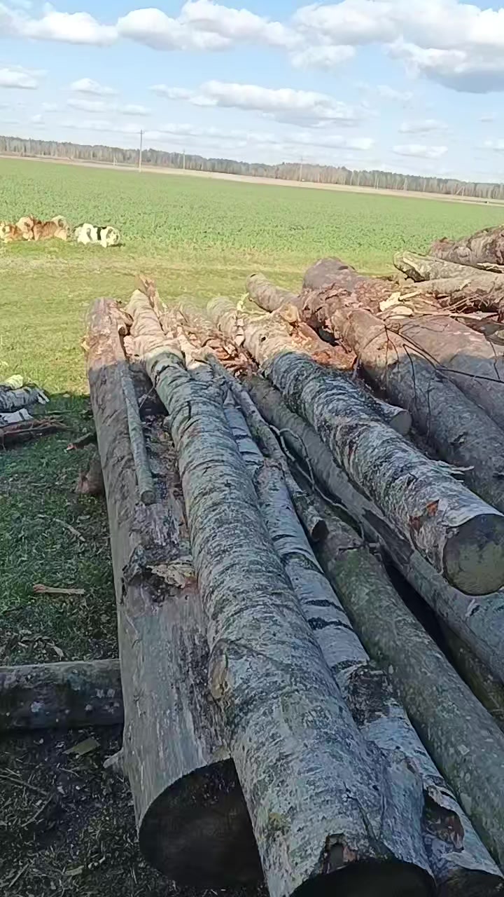 @Александр